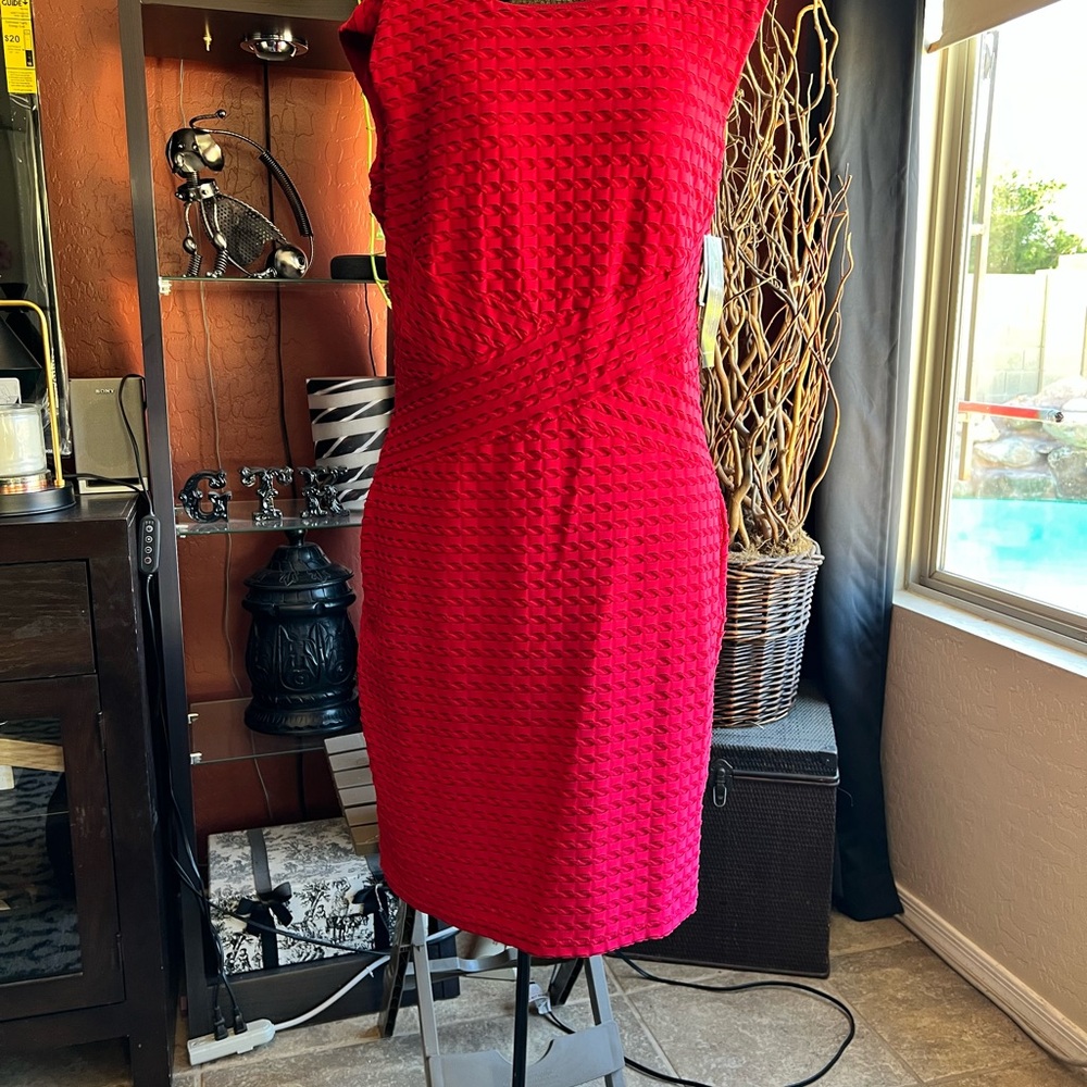 Elegant Red Textured Dress